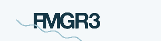 Security code image