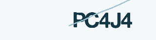 Security code image