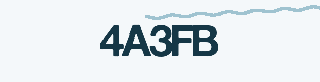 Security code image